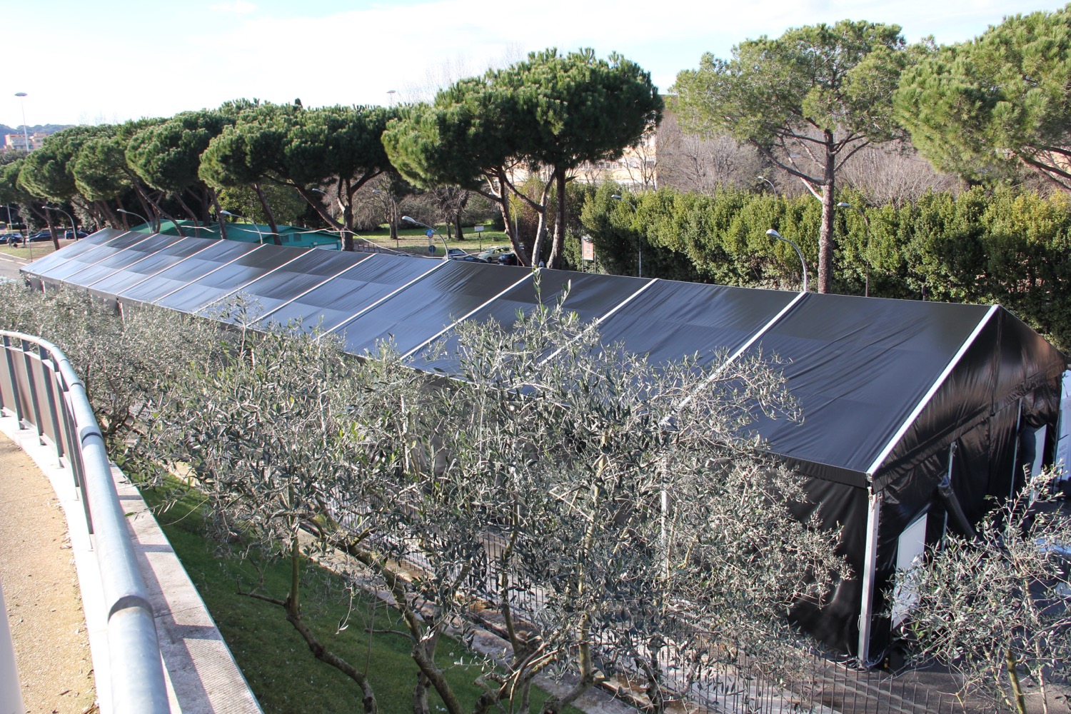 Black Line — Promonoleggi
